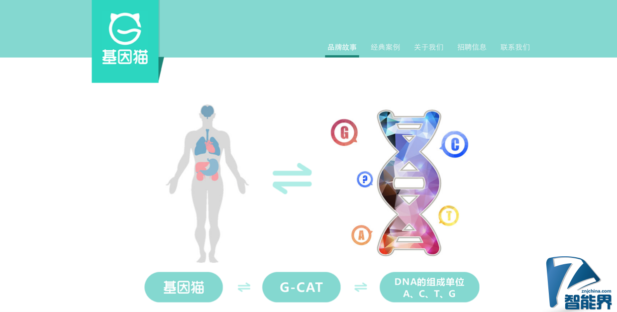 基因檢測可能要打價格戰(zhàn)了，全環(huán)節(jié)自研的 “基因貓” 能突圍而出嗎