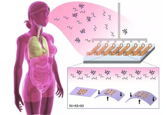 可彎曲納米傳感器根據(jù)呼吸診斷癌癥