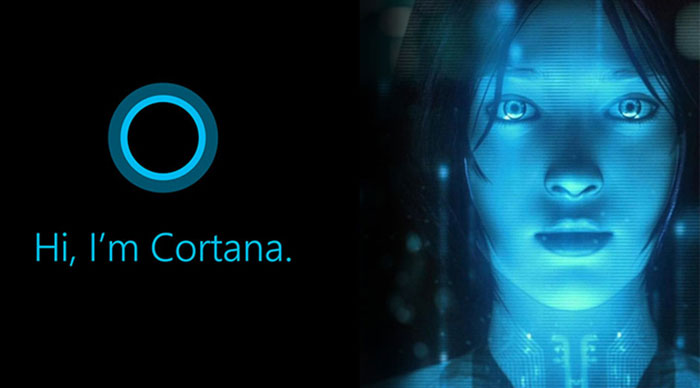 你一定不知道，Cortana 背后的槍手是這些人……